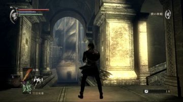 Immagine 25 del gioco Demon's Souls per PlayStation 3
