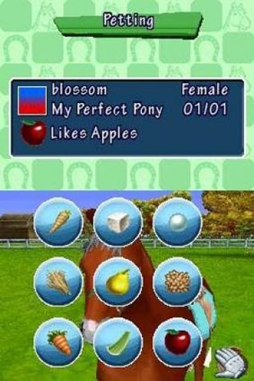 Immagine -4 del gioco Pony Friends per Nintendo DS