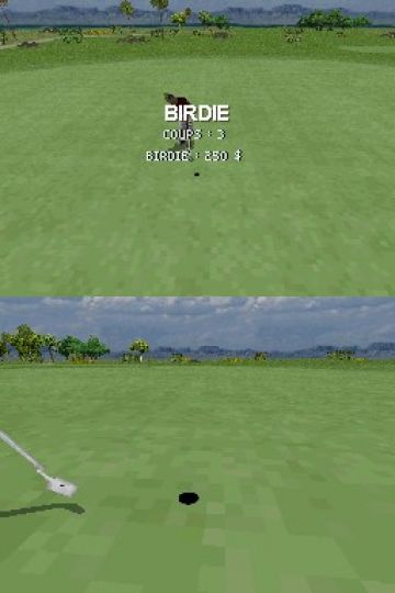 Immagine -3 del gioco Tiger Woods PGA Tour 08 per Nintendo DS