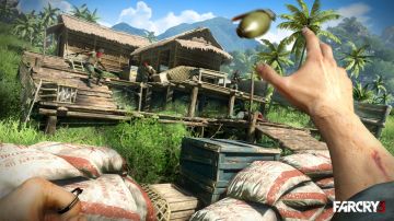 Immagine 30 del gioco Far Cry 3 per PlayStation 3