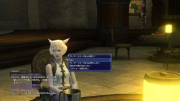 Immagine 15 del gioco Final Fantasy XIV Online per PlayStation 3