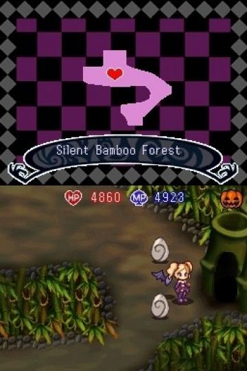 Immagine -11 del gioco A Witch's Tale per Nintendo DS