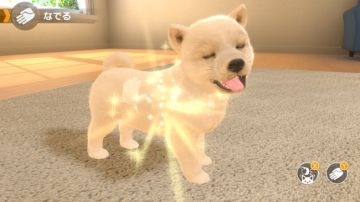 Immagine -2 del gioco Little Friends: Dogs & Cats per Nintendo Switch