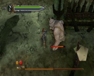 Immagine -12 del gioco Il Signore degli Anelli: L'Avventura di Aragorn per PlayStation 2