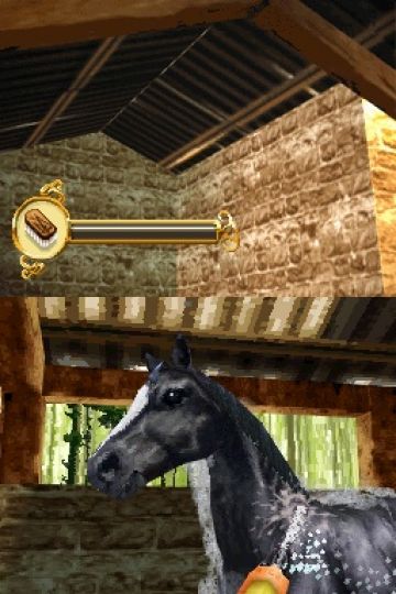 Immagine -5 del gioco Horse Life per Nintendo DS