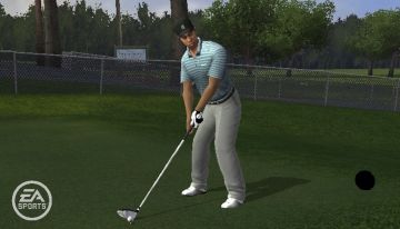 Immagine -4 del gioco Tiger Woods PGA Tour 10 per Nintendo Wii