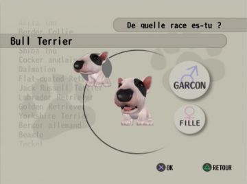 Immagine -11 del gioco The Dog Island per PlayStation 2