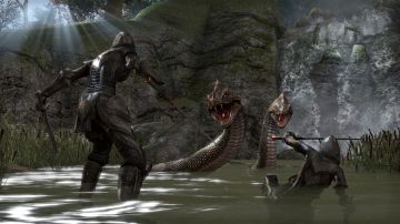 Immagine -15 del gioco The Elder Scrolls Online per PlayStation 4
