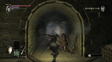 Immagine 34 del gioco Demon's Souls per PlayStation 3