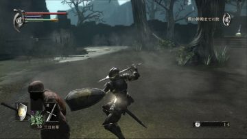Immagine 35 del gioco Demon's Souls per PlayStation 3