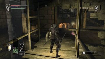 Immagine 38 del gioco Demon's Souls per PlayStation 3