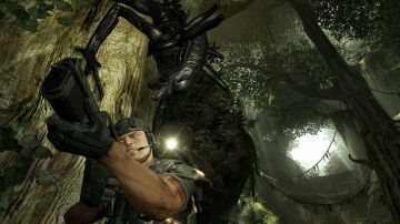 Immagine 1 del gioco Aliens vs Predator per Xbox 360