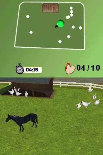 Immagine -5 del gioco My Horse & Me 2 per Nintendo DS