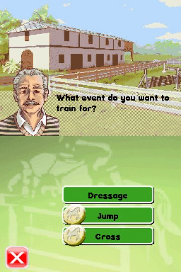 Immagine -4 del gioco My Horse & Me 2 per Nintendo DS