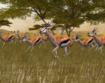 Immagine -4 del gioco Cabela's African Safari per Xbox 360