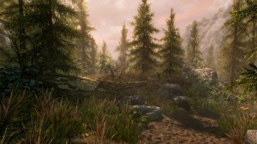 Immagine -14 del gioco The Elder Scrolls V: Skyrim - Special Edition per Xbox One