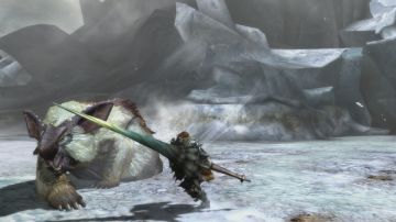 Immagine 21 del gioco Monster Hunter 3 Ultimate per Nintendo Wii U