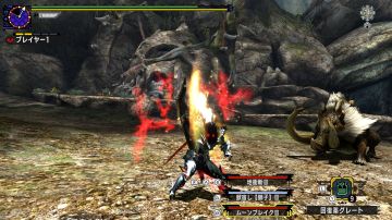 Immagine -12 del gioco Monster Hunter XX per Nintendo Switch