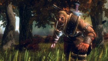 Immagine -5 del gioco Viking: Battle for Asgard per Xbox 360