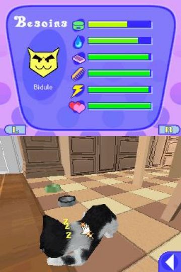 Immagine -9 del gioco Catz 2 per Nintendo DS