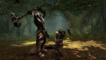 Immagine 39 del gioco Il Signore Degli Anelli: Guerra del Nord per PlayStation 3