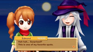 Immagine -14 del gioco Harvest Moon: Light of Hope per Nintendo Switch