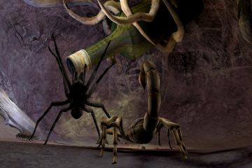 Immagine -3 del gioco Deadly Creatures per Nintendo Wii