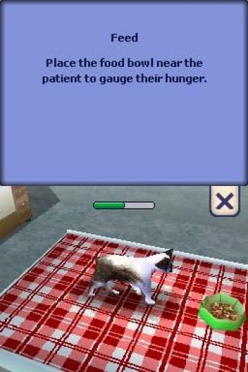 Immagine -14 del gioco The Sims 2: Pets per Nintendo DS