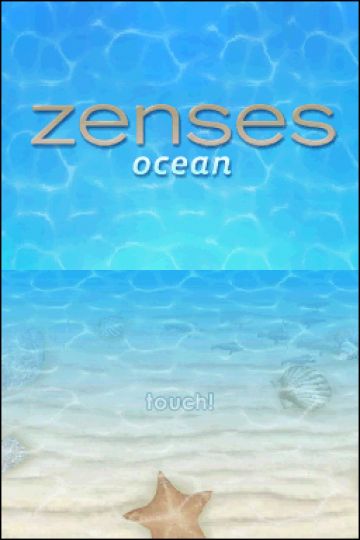 Immagine -5 del gioco Zenses Ocean per Nintendo DS