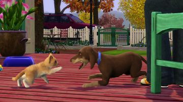 Immagine -9 del gioco The Sims 3 Animali & Co per Xbox 360