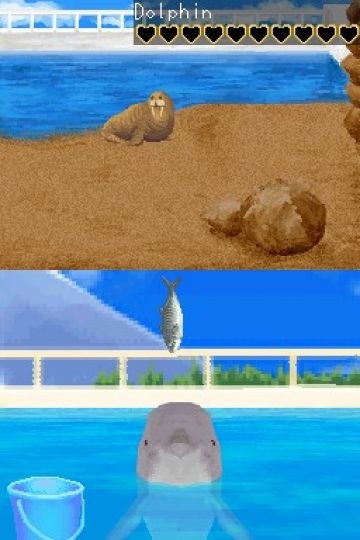 Immagine -16 del gioco My Pet Dolphin per Nintendo DS