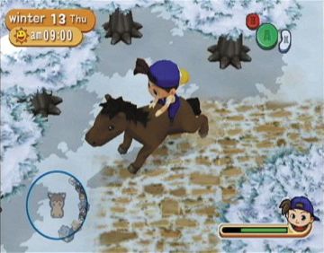 Immagine -2 del gioco Harvest Moon: Magical Melody per Nintendo Wii