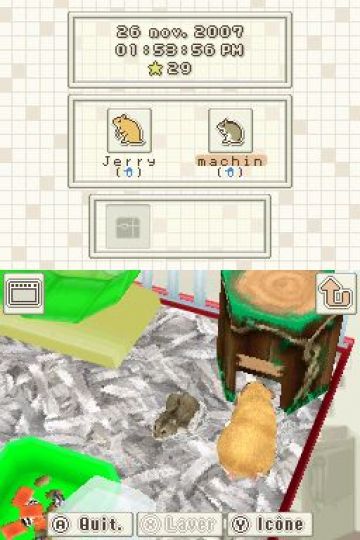 Immagine -11 del gioco Hamsterz per Nintendo DS