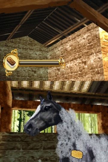 Immagine -16 del gioco Horse Life per Nintendo DS