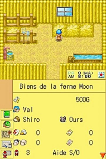 Immagine -8 del gioco Harvest Moon DS per Nintendo DS