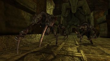 Immagine -17 del gioco Dragon Age: Origins per Xbox 360