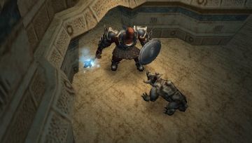 Immagine -4 del gioco Dungeon Siege: Throne of Agony per PlayStation PSP