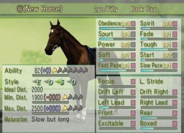 Immagine -13 del gioco G1 Jockey 4 2008 per PlayStation 3