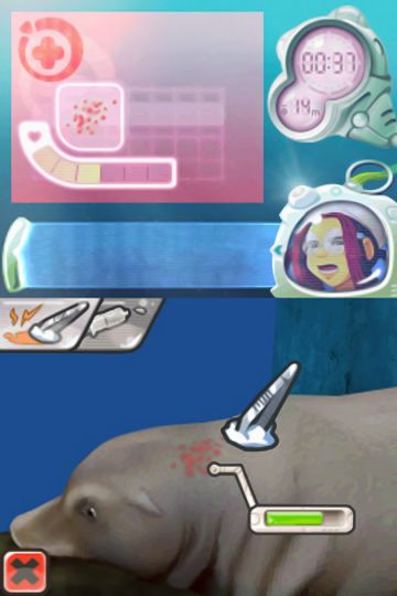 Immagine -4 del gioco L'Isola dei Delfini: Avventure sottomarine per Nintendo DS