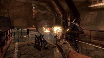 Immagine -7 del gioco Aliens vs Predator per Xbox 360
