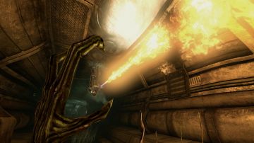 Immagine -6 del gioco Aliens vs Predator per Xbox 360