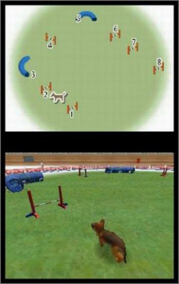 Immagine -16 del gioco Nintendogs: Chihuahua and Friends per Nintendo DS