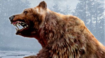 Immagine -5 del gioco Cabela's Dangerous Hunts 2011 per Xbox 360