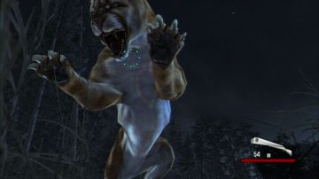 Immagine -7 del gioco Cabela's Dangerous Hunts 2011 per Xbox 360