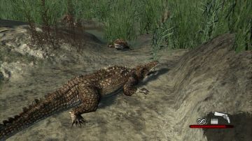 Immagine -6 del gioco Cabela's Dangerous Hunts 2011 per Xbox 360