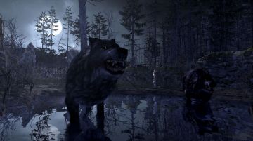 Immagine -16 del gioco Cabela's Dangerous Hunts 2011 per Xbox 360