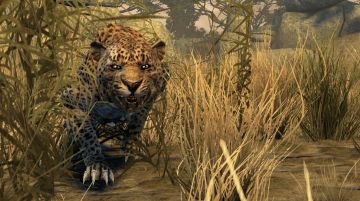 Immagine -14 del gioco Cabela's Dangerous Hunts 2011 per Xbox 360