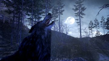 Immagine -13 del gioco Cabela's Dangerous Hunts 2011 per Xbox 360