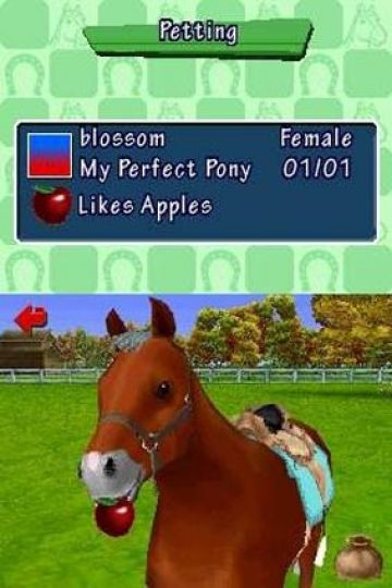 Immagine -3 del gioco Pony Friends per Nintendo DS