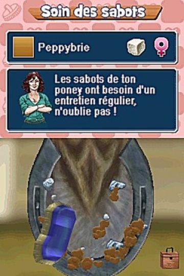 Immagine -8 del gioco Pony Friends per Nintendo DS